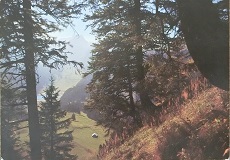 スイス国際放送(SRI)