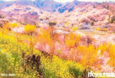 ラジオ福島(RFC)